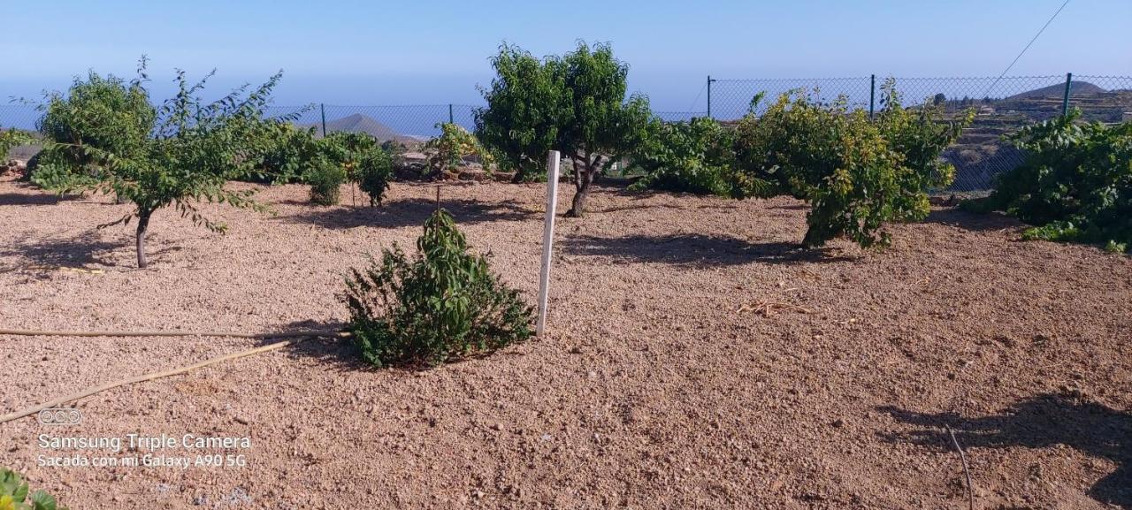 Casa Luis Pico Villa Granadilla De Abona Dış mekan fotoğraf