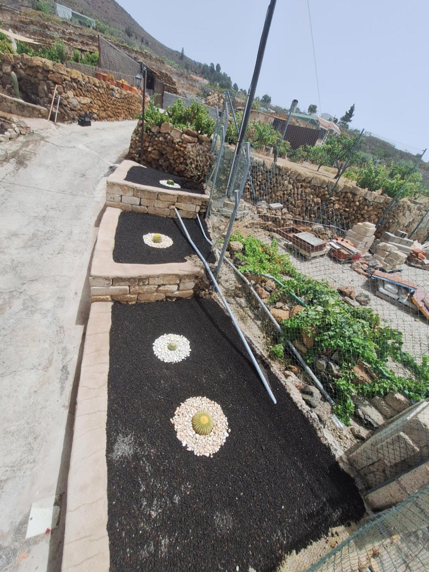 Casa Luis Pico Villa Granadilla De Abona Dış mekan fotoğraf